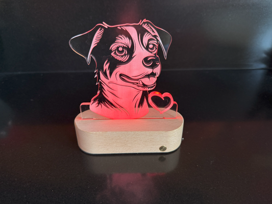 Led display jack russel