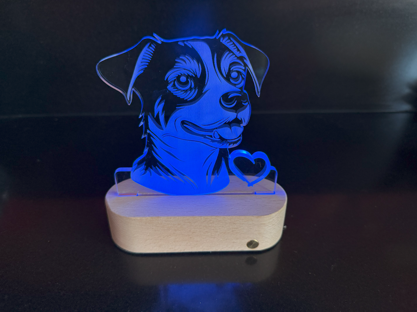 Led display jack russel