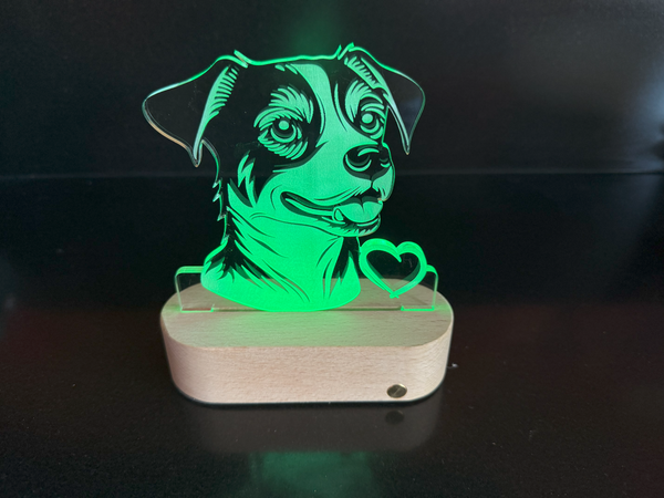 Led display jack russel