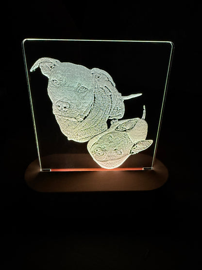 LED display met gepersonaliseerde plaat