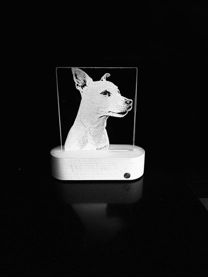 LED display met gepersonaliseerde plaat